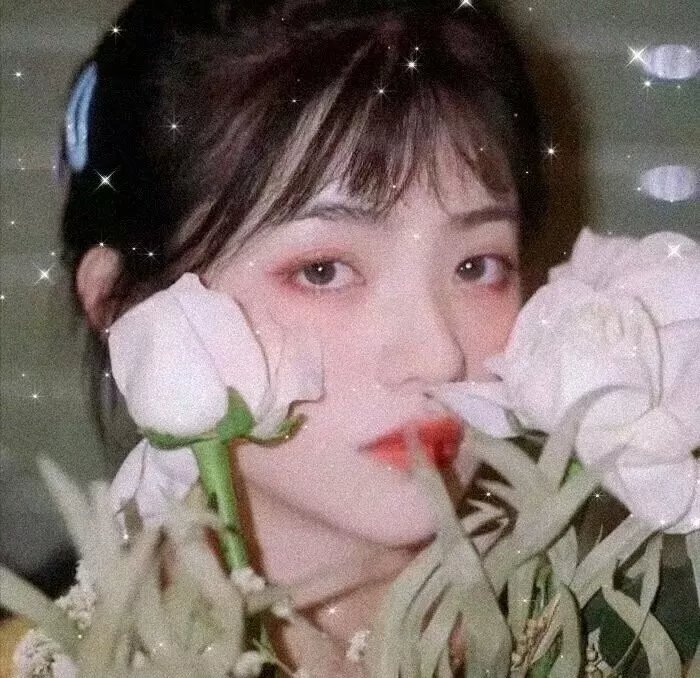 风花